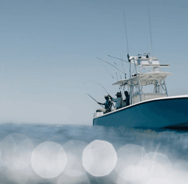 Sportfishing