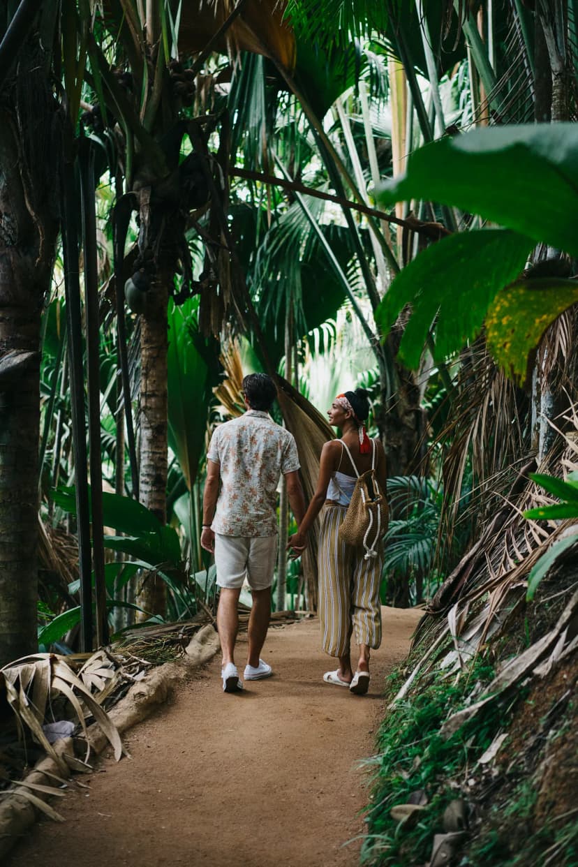 Vallée de Mai — the activity/scene in action. The UNESCO palm forest, a short drive away.