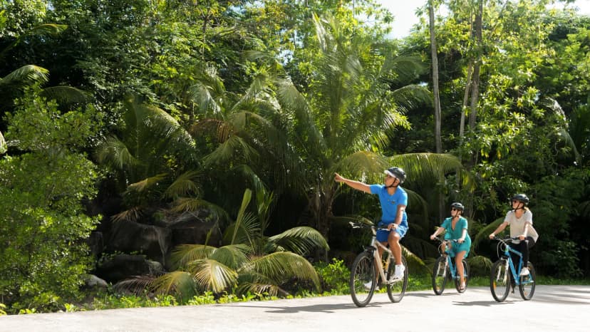 Hike the headlands — the activity/scene in action. Trails across the 120-hectare estate.