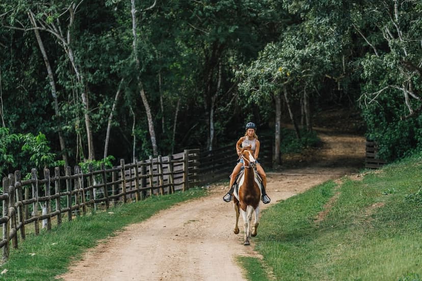 Horseback & biking