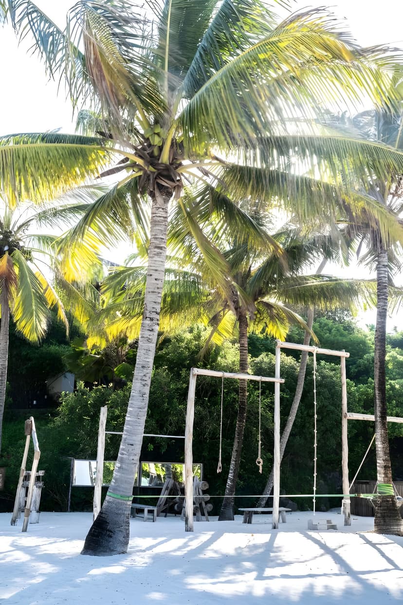 Mnemba snorkelling