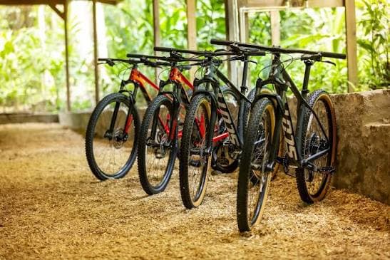 Jungle biking: Trails on the Anse Mamin plantation.