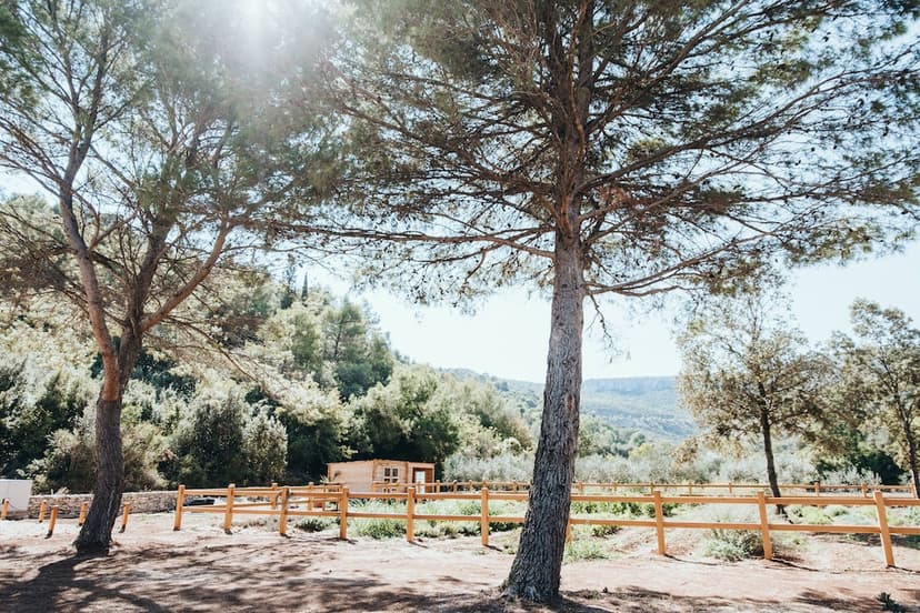 Experience: Stari Grad