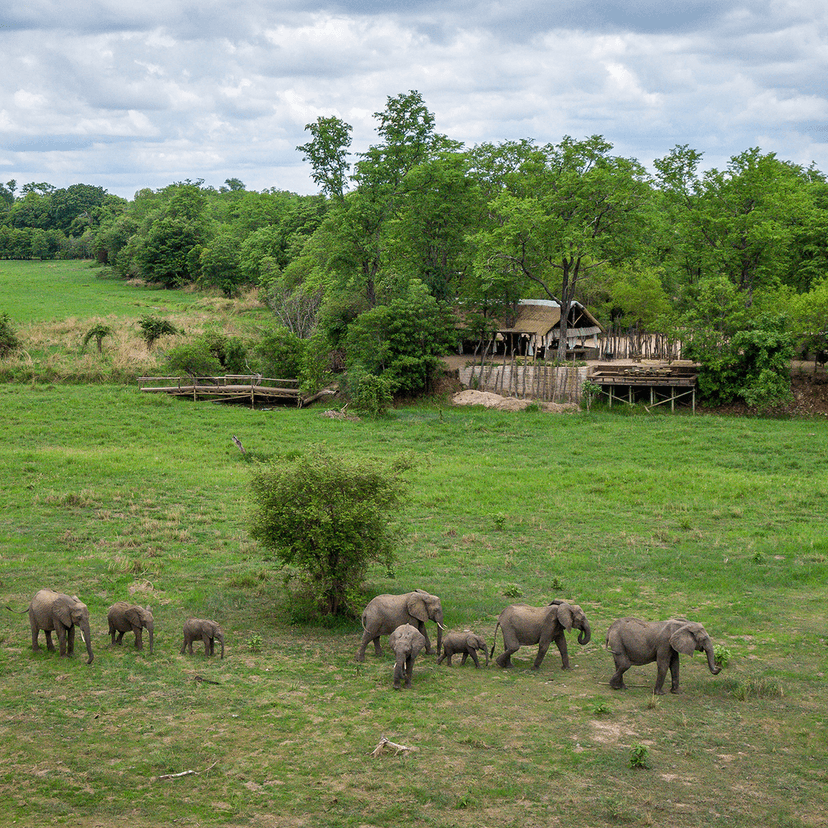 The bushcamp circuit