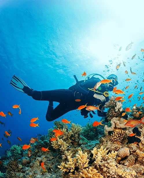 Barrier-reef diving: Off a three-mile beach.