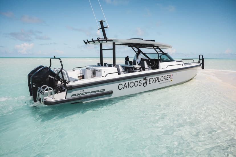 Boat excursions: To the cays offshore.