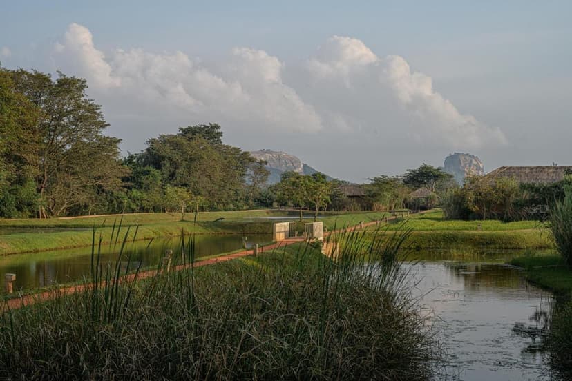 Bikes & nature walks: Across the water gardens.