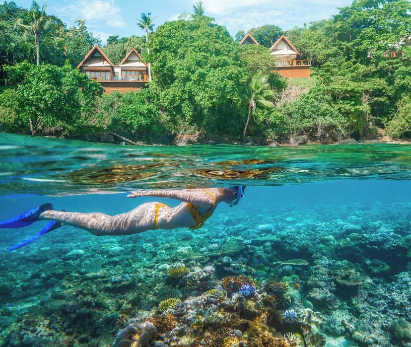 Experience 5: Snorkel the house reef