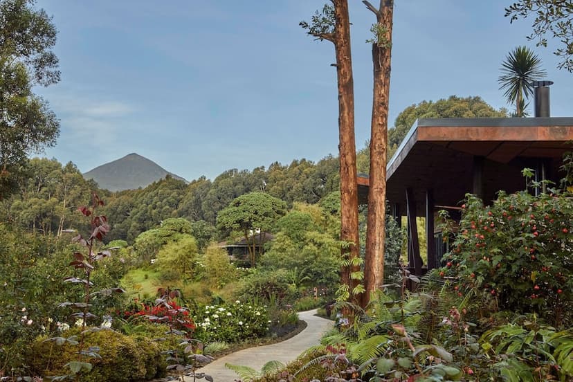Coffee & garden tours