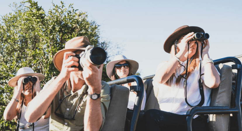 Photographic safari