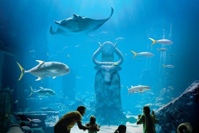 Marine habitats: Atlantis aquariums and exhibits.