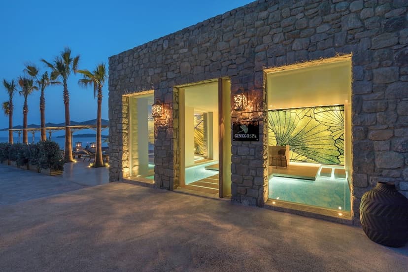 Experience: The Ginkgo Spa