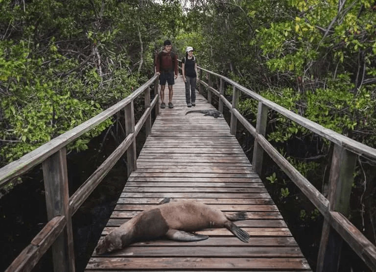 All-inclusive guides