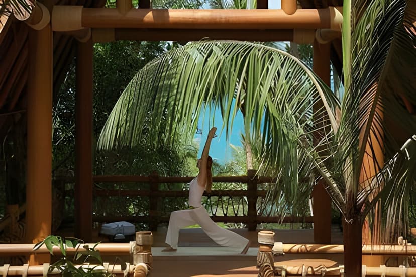 Treehouse spa: Beach massage and yoga.