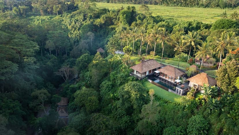 Hero/establishing shot of Maya Ubud Resort & Spa, Ubud, Bali. A Balinese-village-style jungle resort across ten hectares between the Petanu River valley and the Peliatan rice terraces, a stroll from central Ubud.