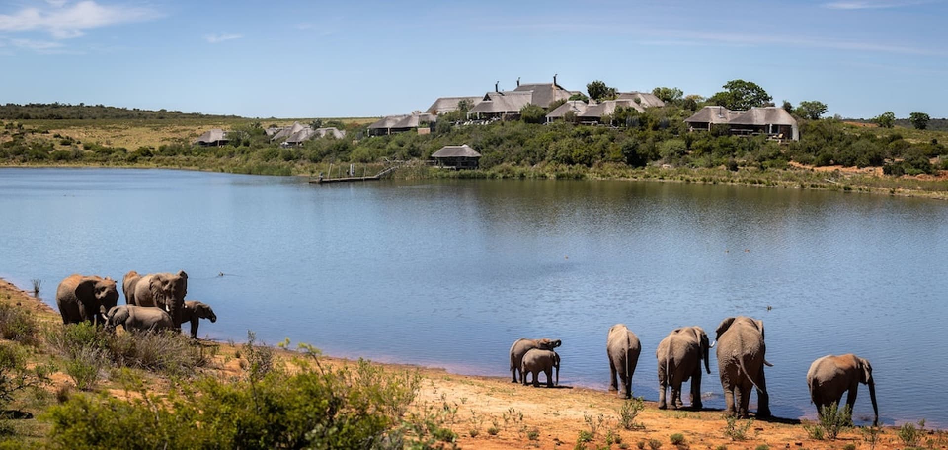 Pumba Private Game Reserve