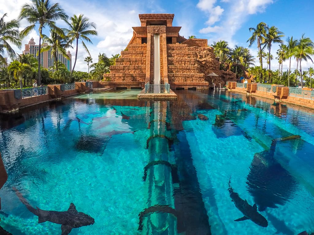 The Cove at Atlantis