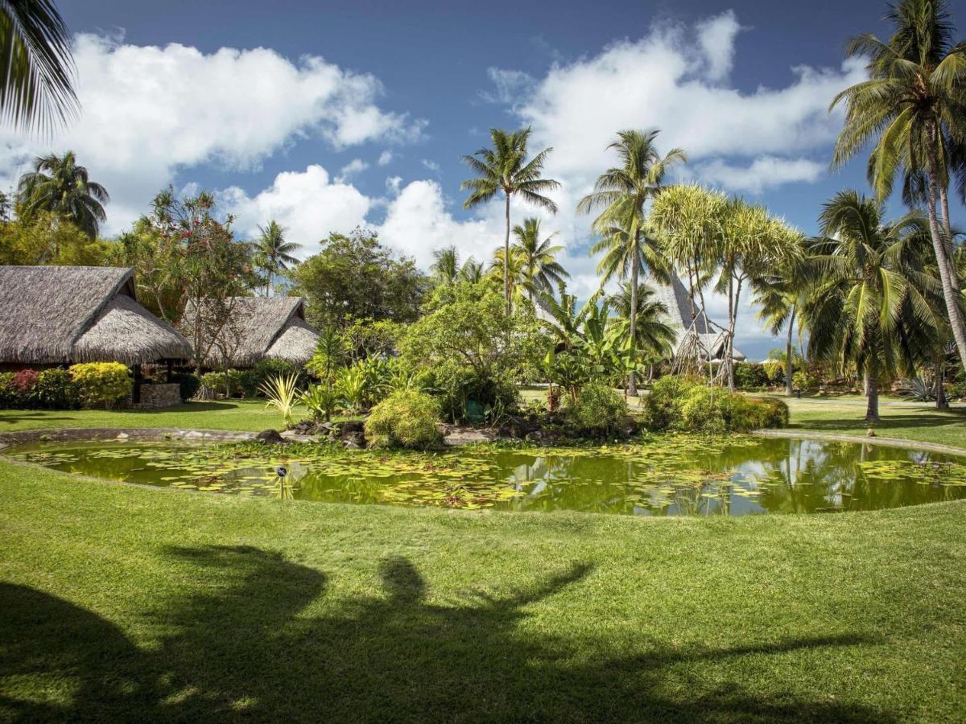 Sofitel Kia Ora Moorea Beach Resort gallery