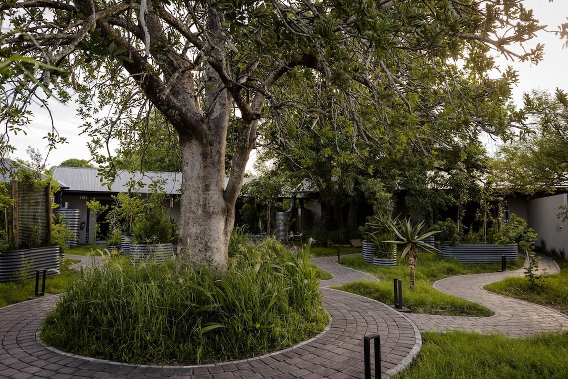 Kruger Shalati gallery