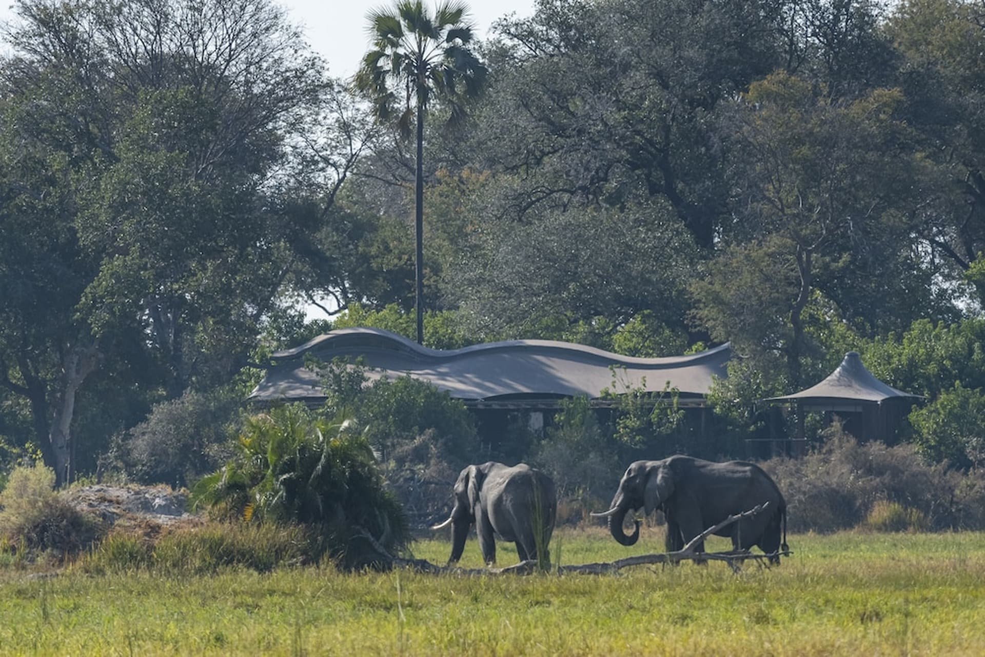 Xigera Safari Lodge gallery