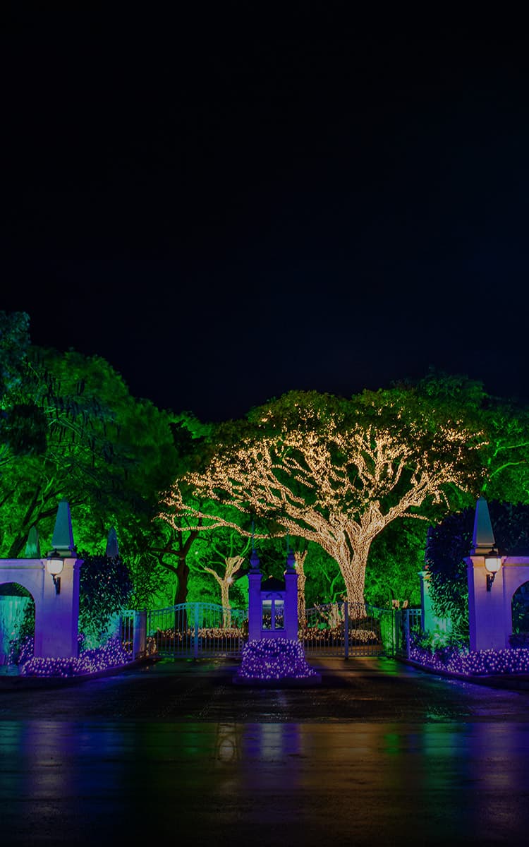 Sandy Lane gallery