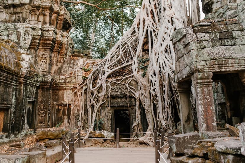Cambodia Angkor Discovery