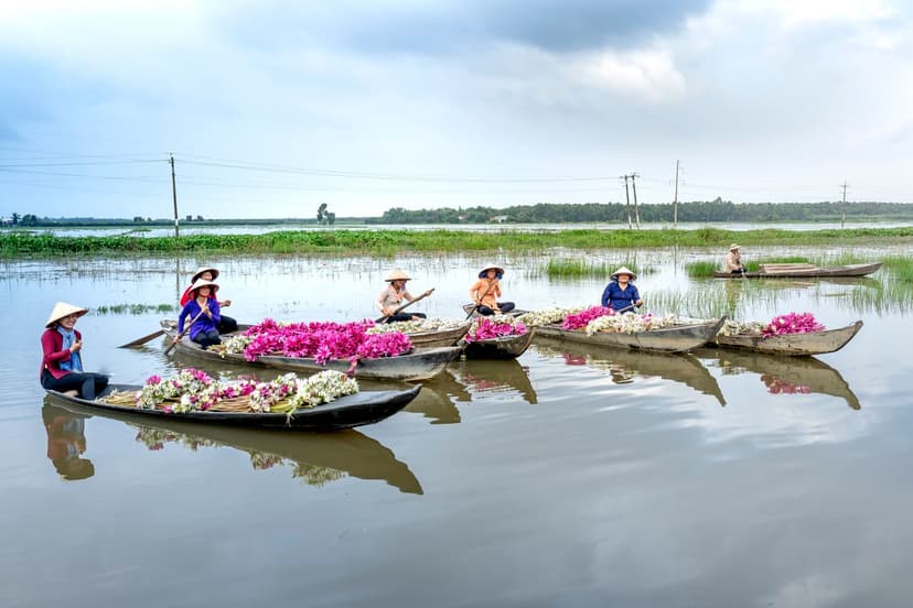 Vietnam Refined
