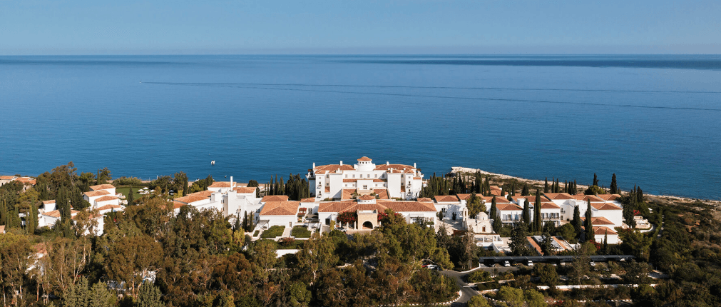 Anassa gallery