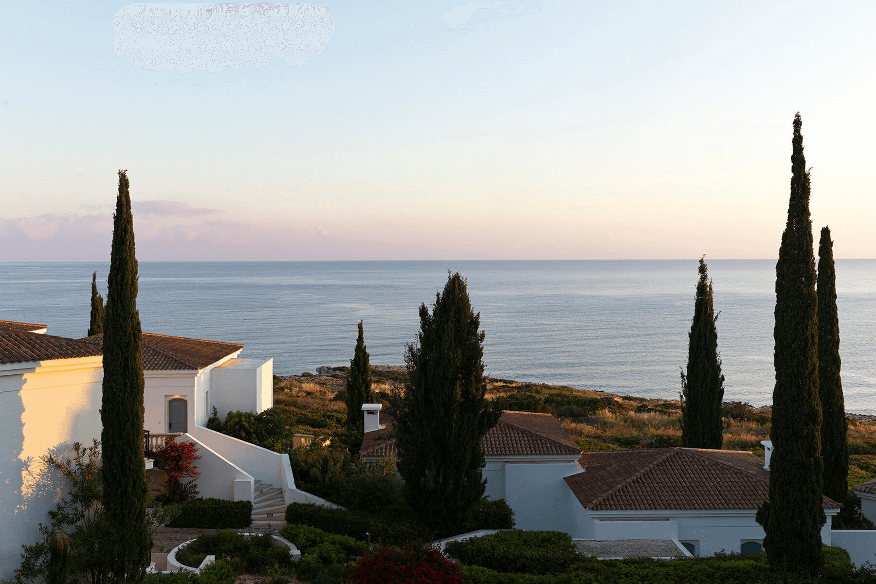 Anassa