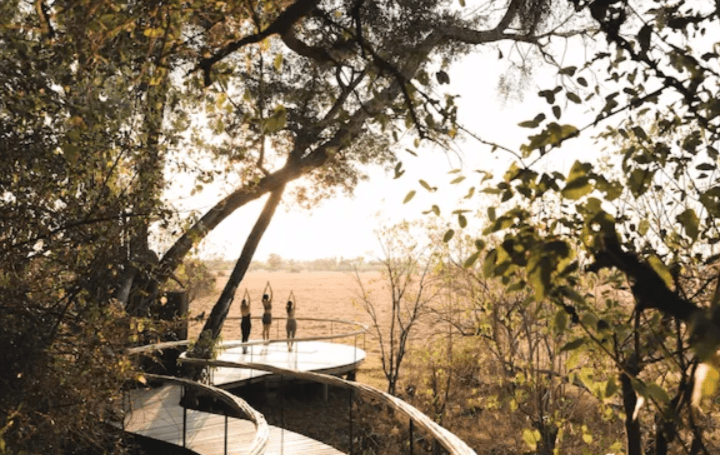 Wilderness Mombo Camp