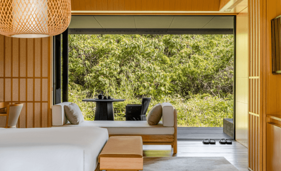 Amanemu