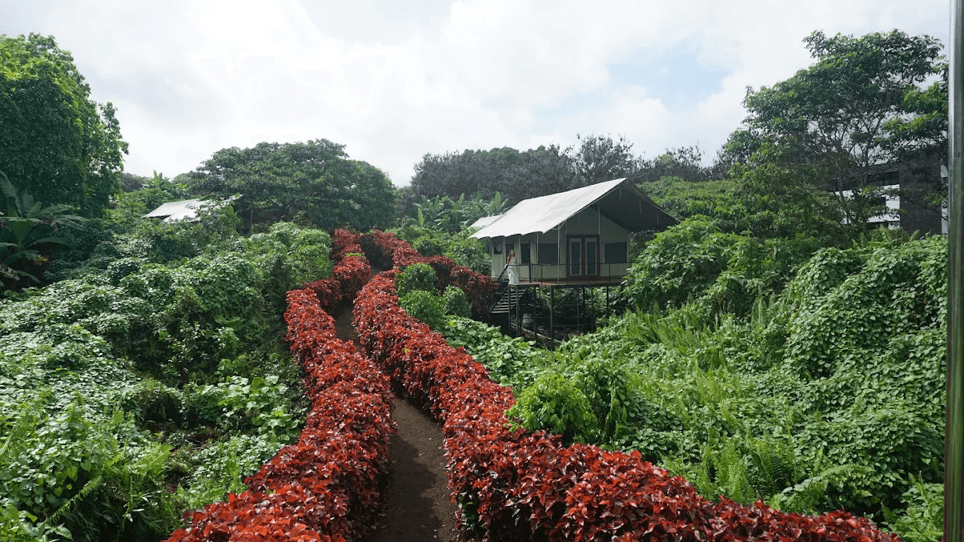 Scalesia Lodge gallery