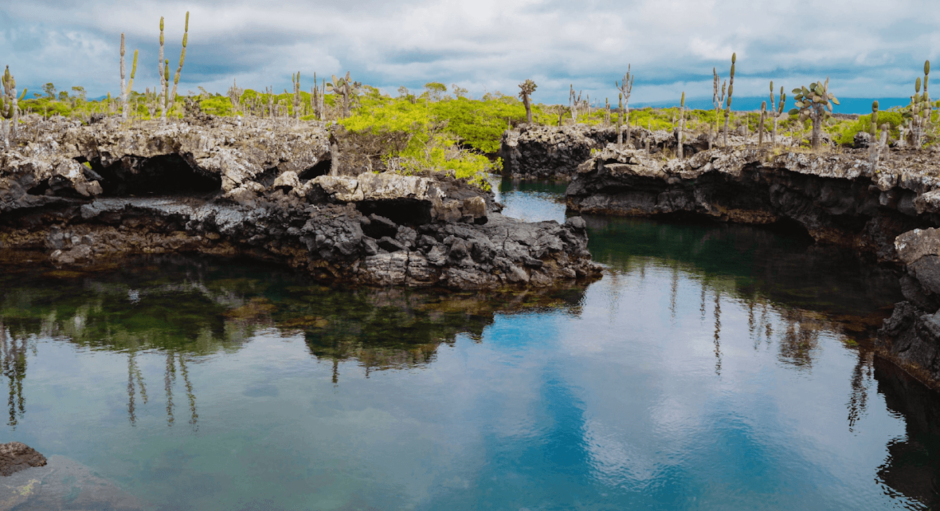 Scalesia Lodge gallery