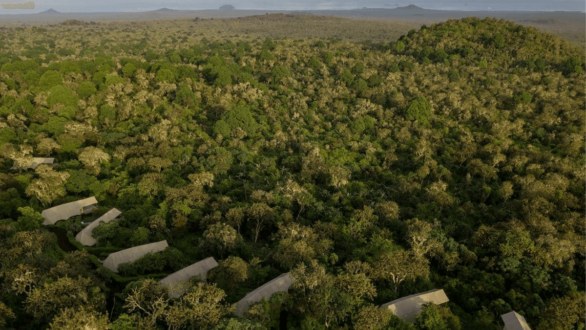 Galapagos Safari Camp gallery