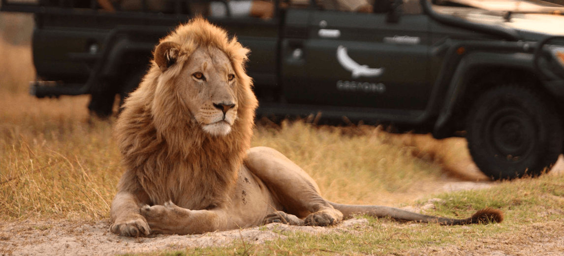 andBeyond Sandibe Okavango Safari Lodge gallery