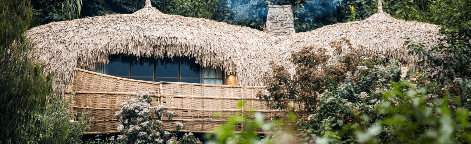 Wilderness Bisate