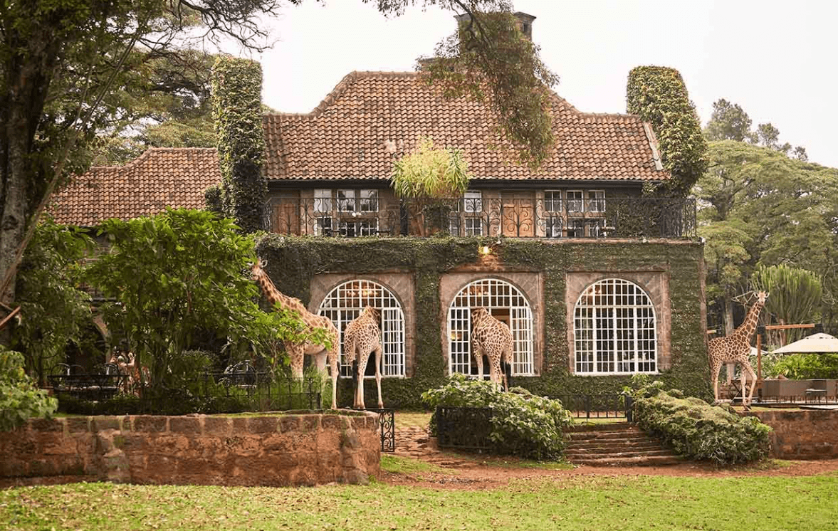 Giraffe Manor