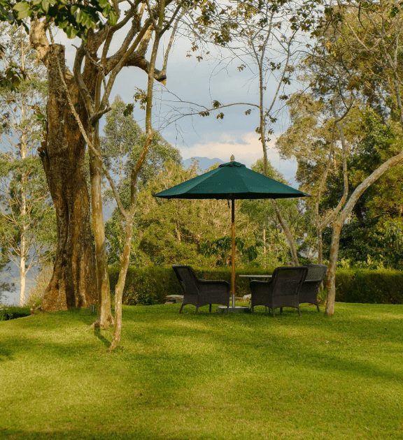 Ceylon Tea Trails