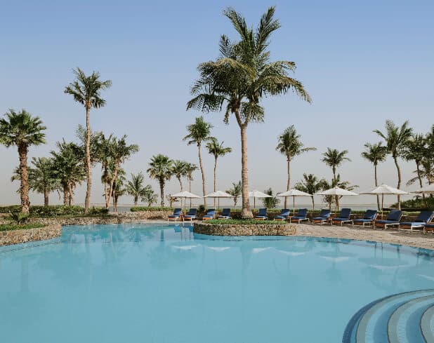 JA Palm Tree Court