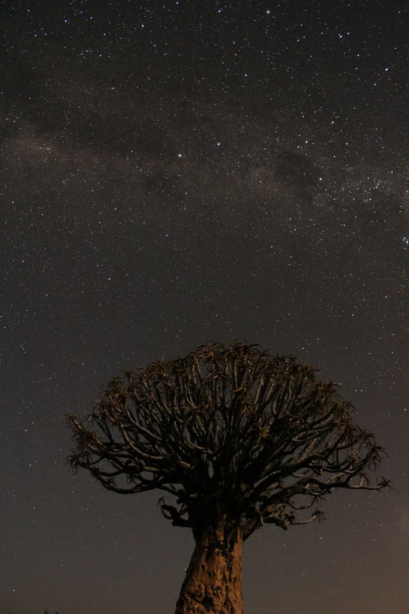 Among the least light-polluted skies on the planet — Namibia's deserts offer some of the finest stargazing anywhere on earth.