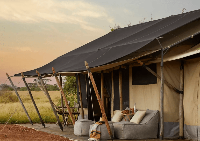 Tented Suite