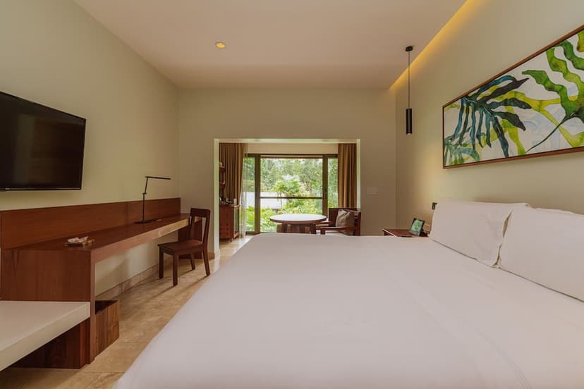 Rainforest Room