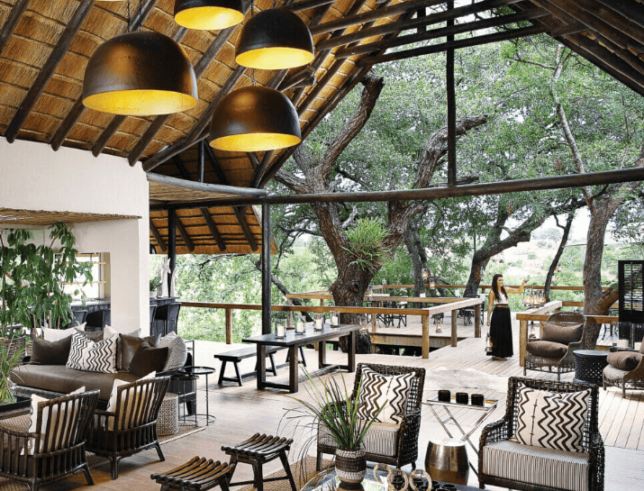 Tree Camp Suite