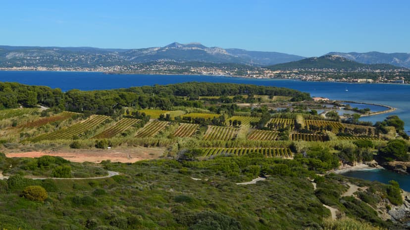 The chic, lavender-scented island of Hvar and the historic, vineyard-clad Korčula — the glamorous heart of the Dalmatian islands.