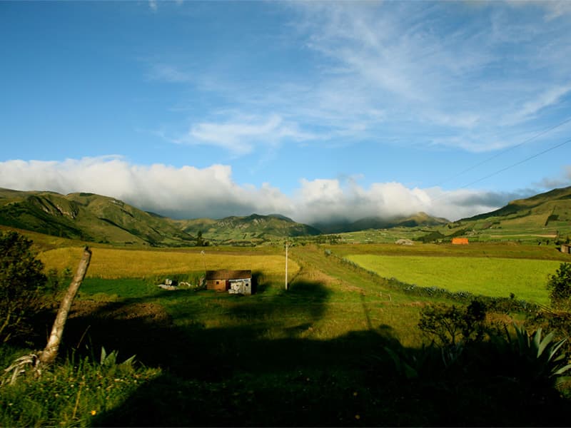 Hacienda Zuleta gallery