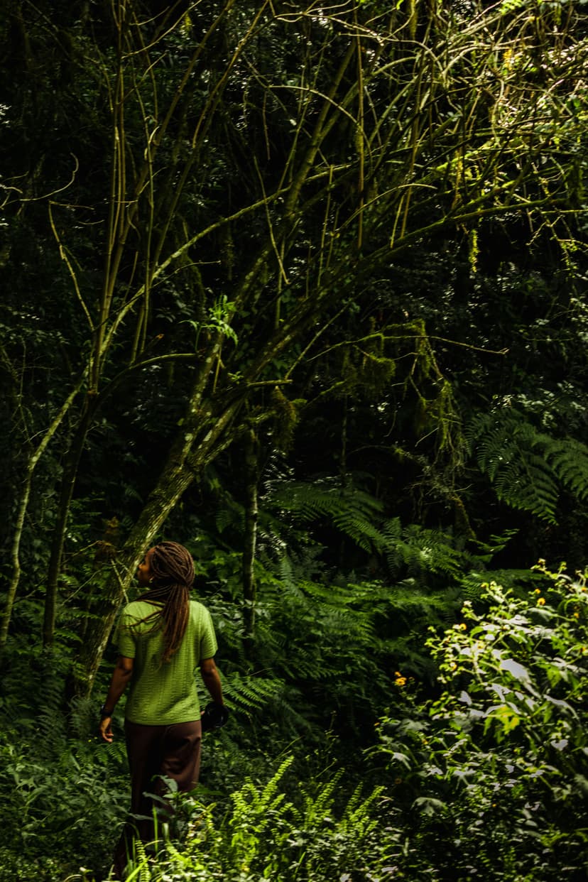 Nyungwe Forest