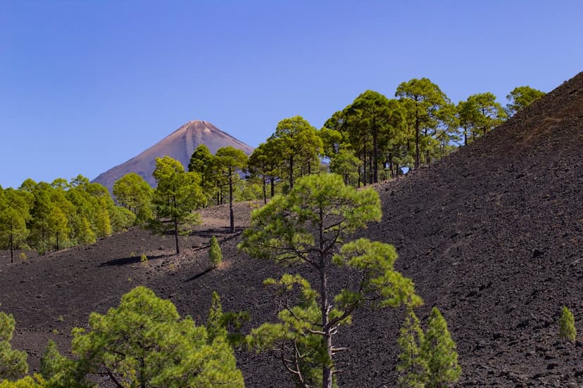 Hiking Teide's national park, the laurel forests of La Gomera and the green ridges of La Palma — a wilder, active side of the islands.