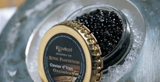 Champagne & Caviar Bar