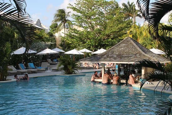 Swim-up bar