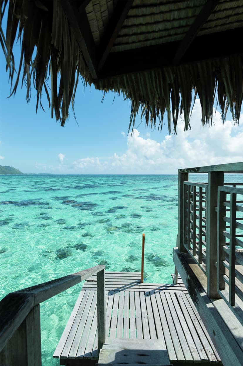 Experience 1: Snorkel with rays & sharks